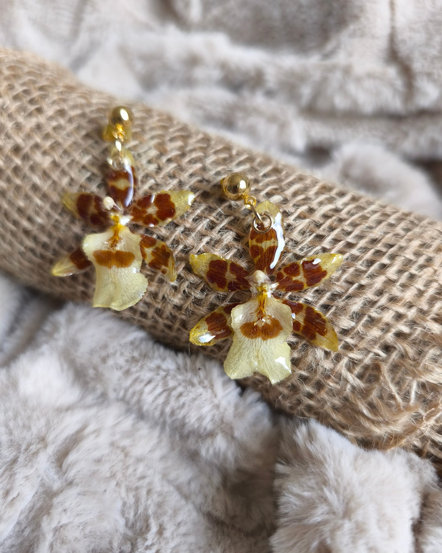 Boucles d'oreilles Cambria