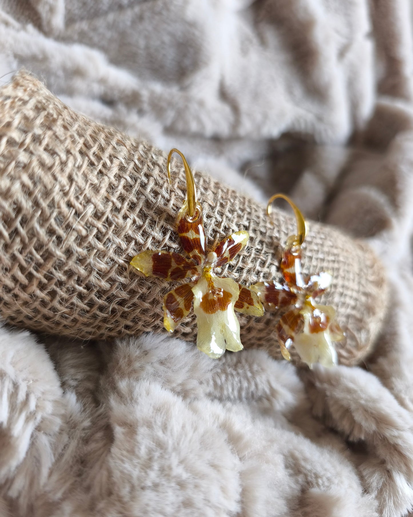 Boucles d'oreilles Cambria