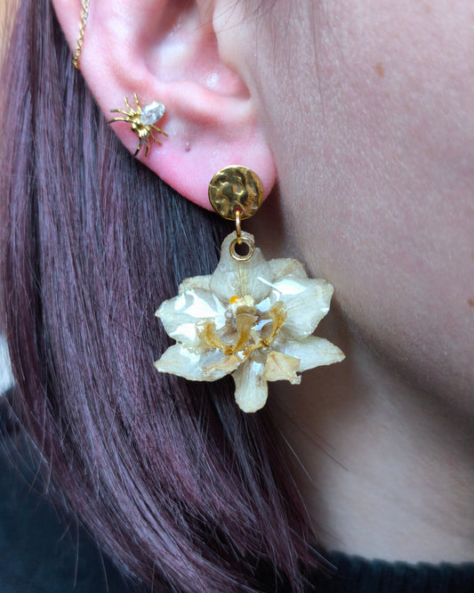 Boucles d'oreilles Vanilla