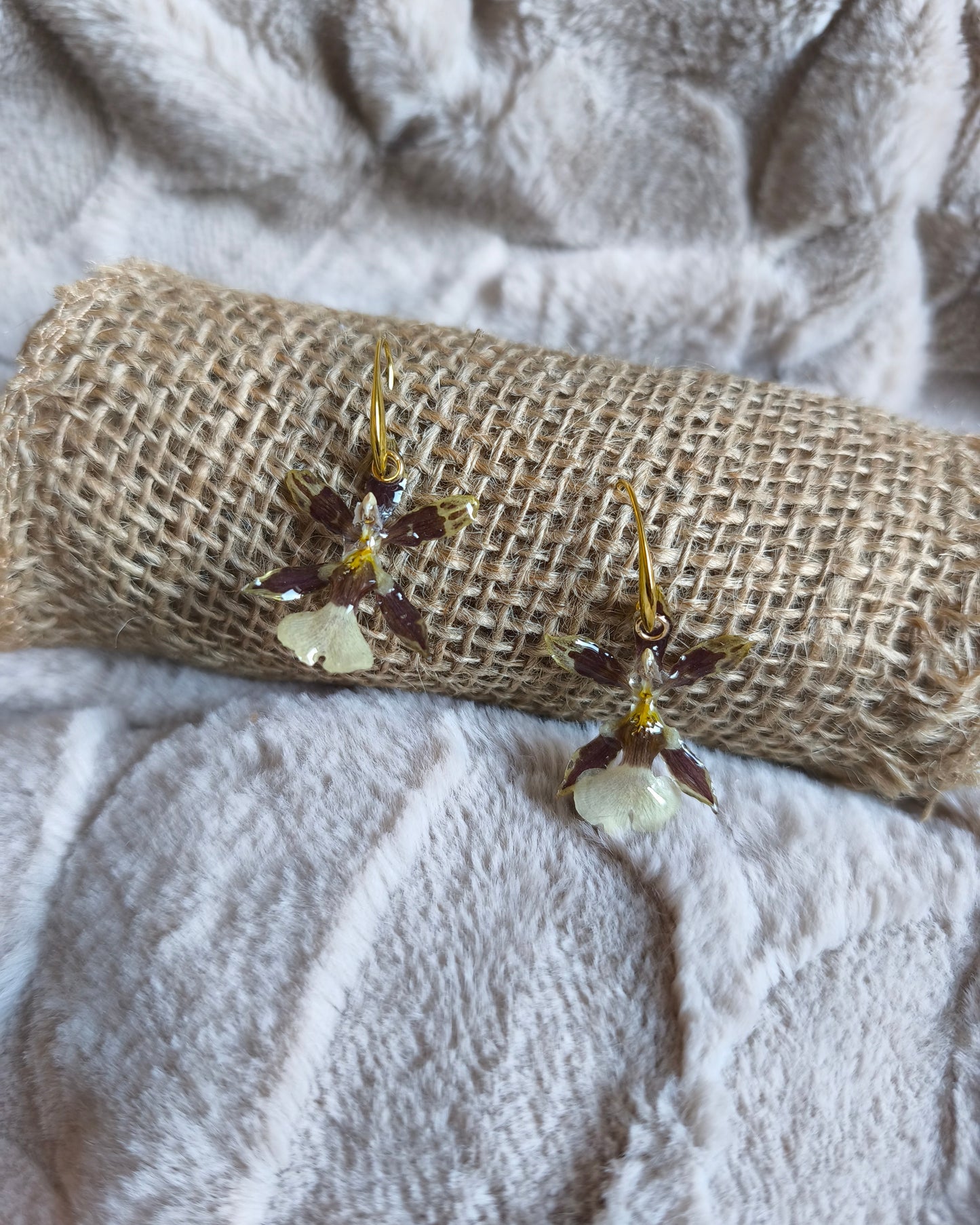 Boucles d'oreilles Cambria