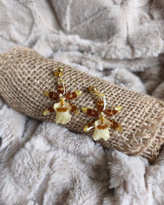 Boucles d'oreilles Cambria