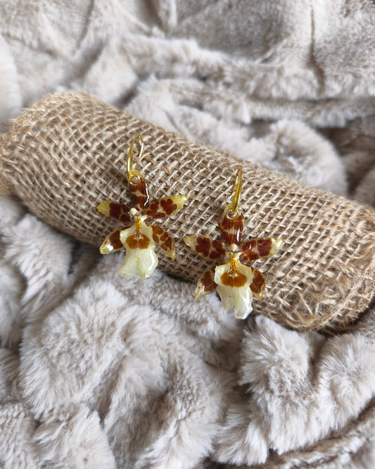 Boucles d'oreilles Cambria