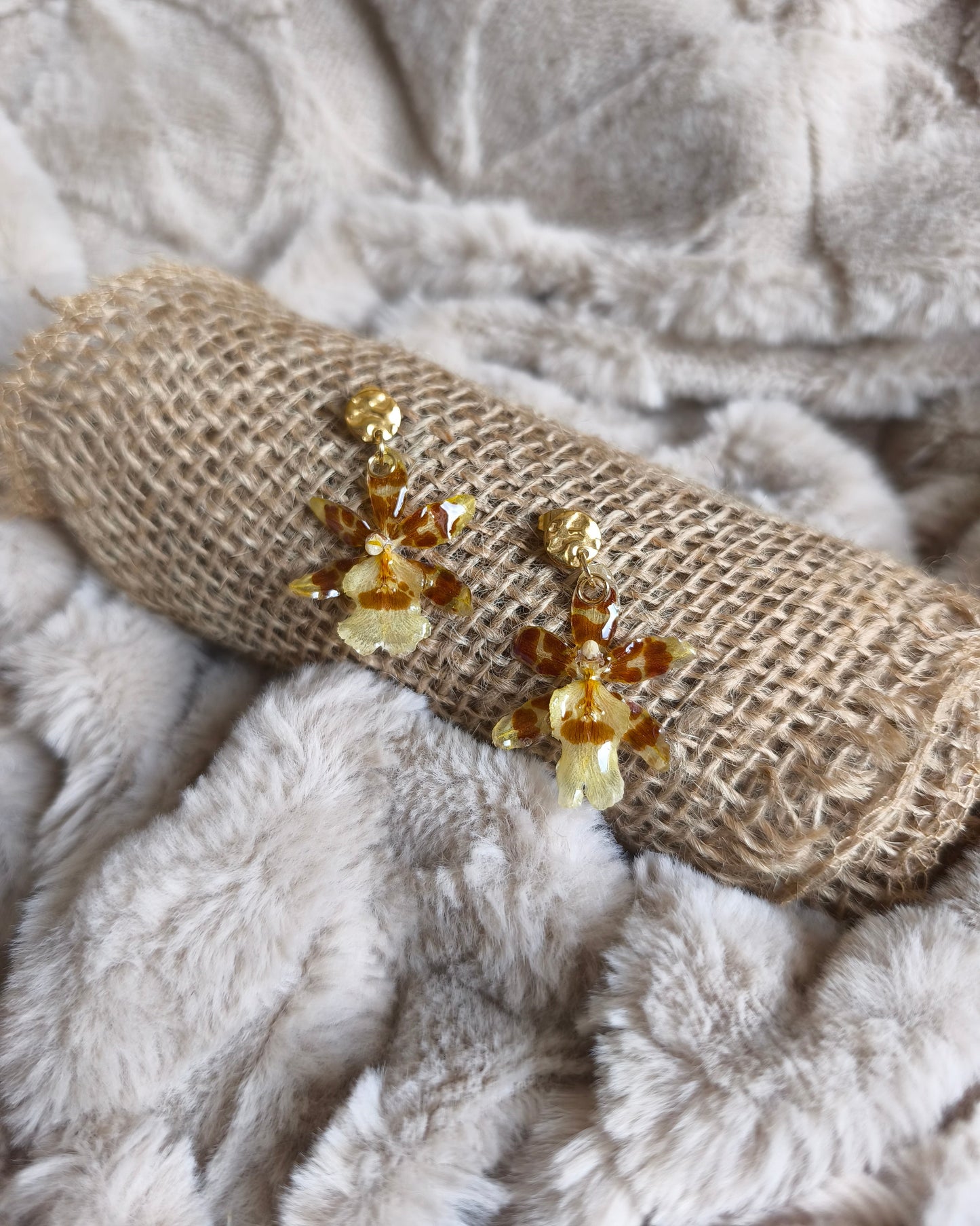 Boucles d'oreilles Cambria