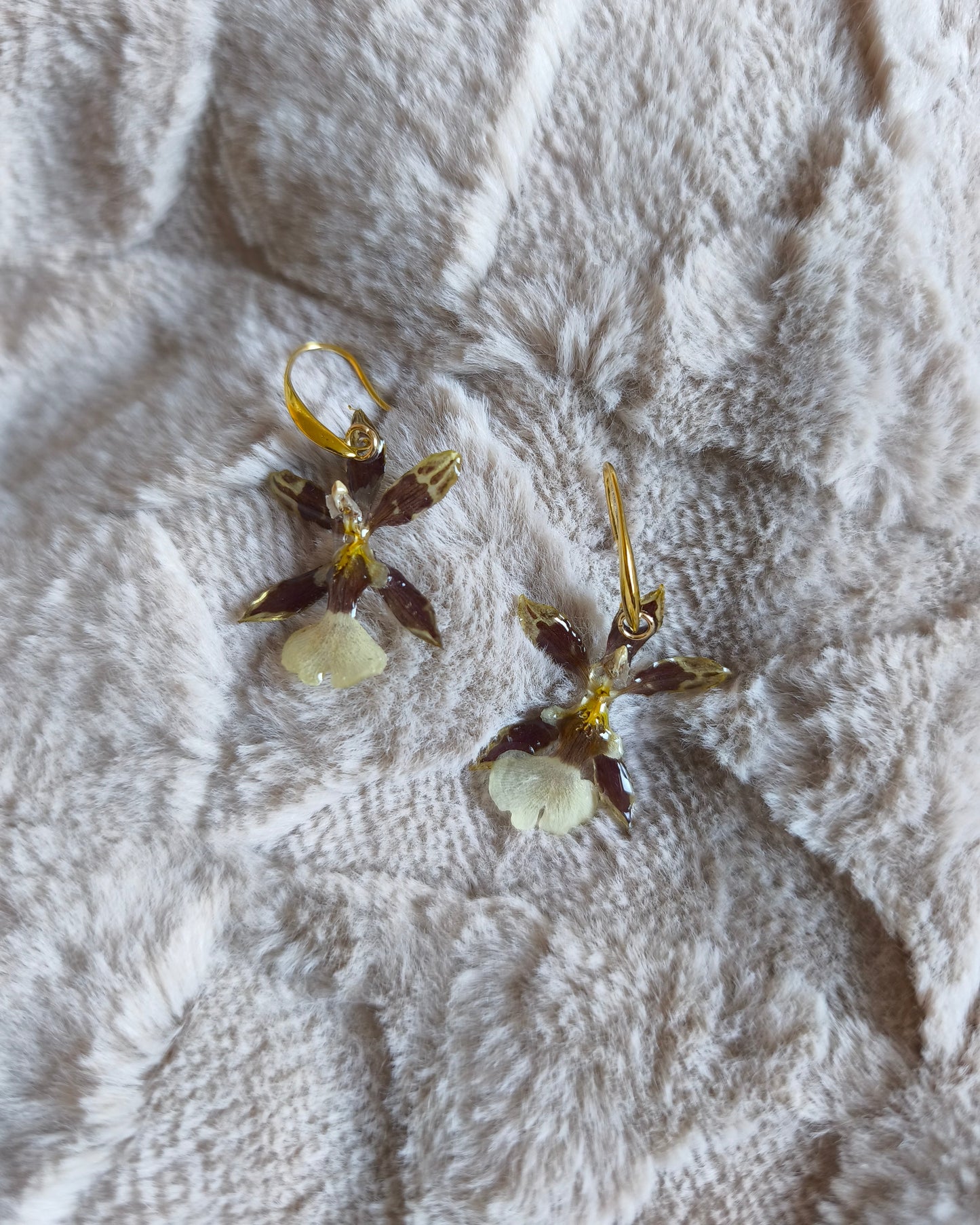 Boucles d'oreilles Cambria